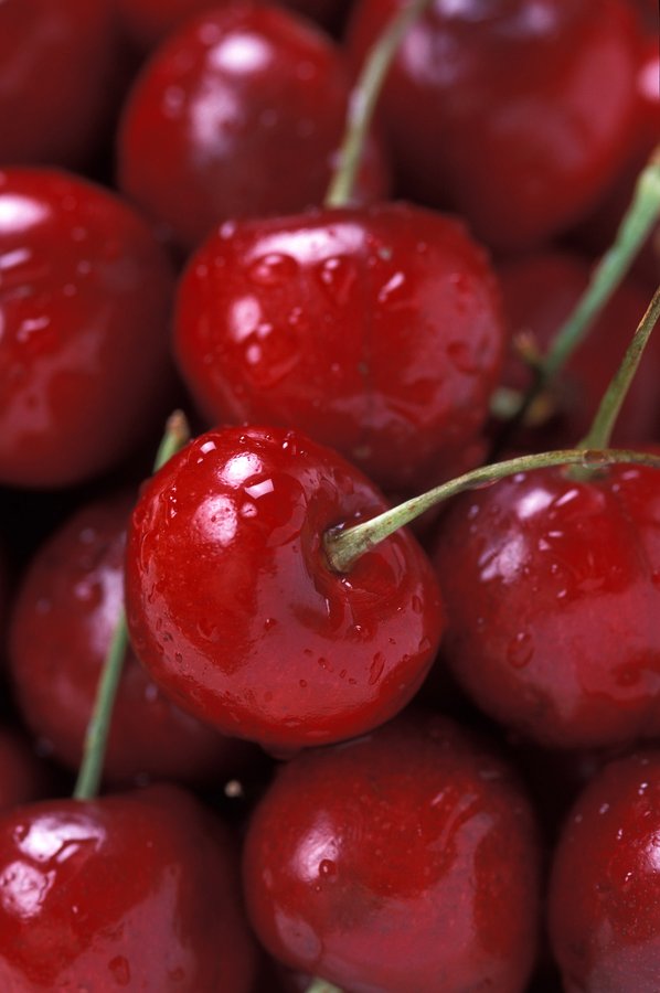 Cerise