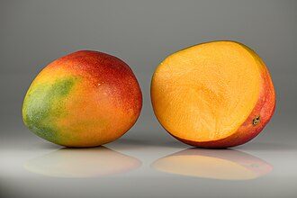 Mangue