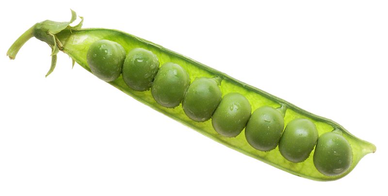 Petit pois