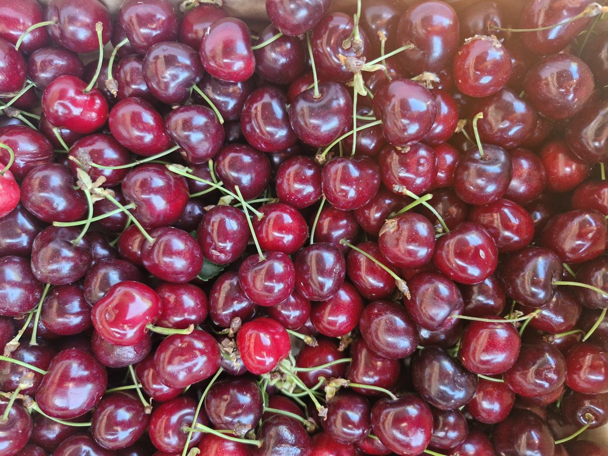 Cerises
