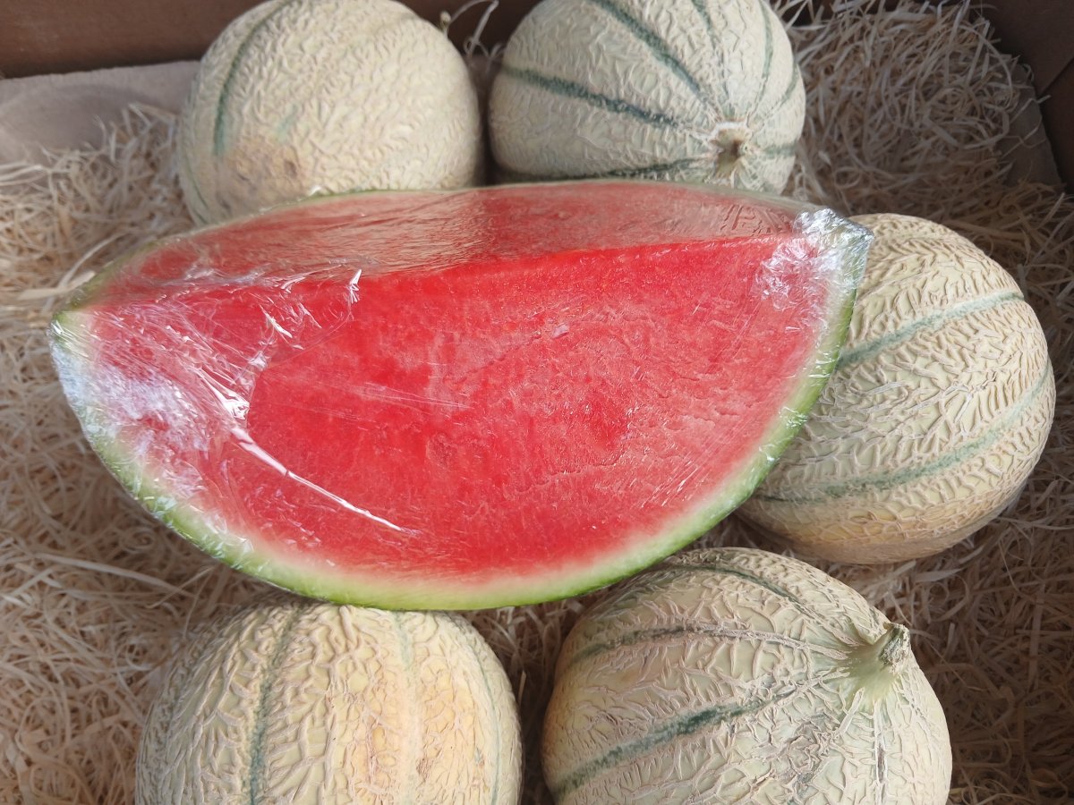 Melons🇨🇵 et Pastèque 🍉